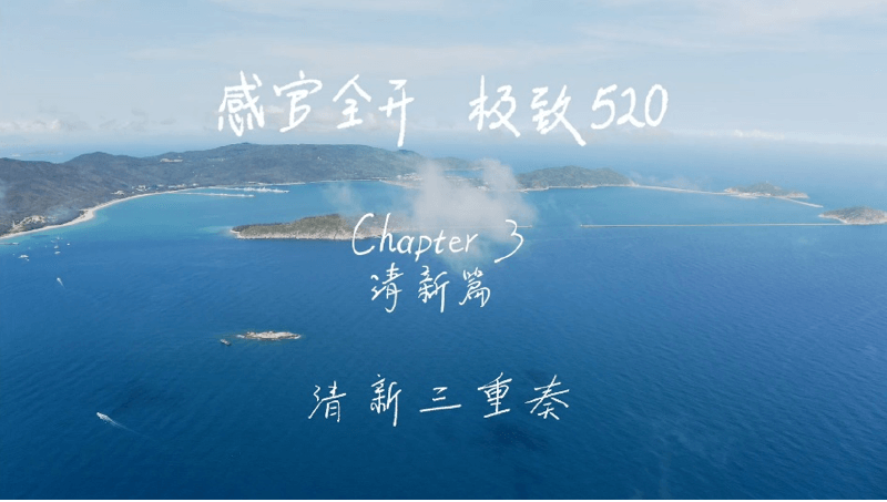 感官全开，极致520